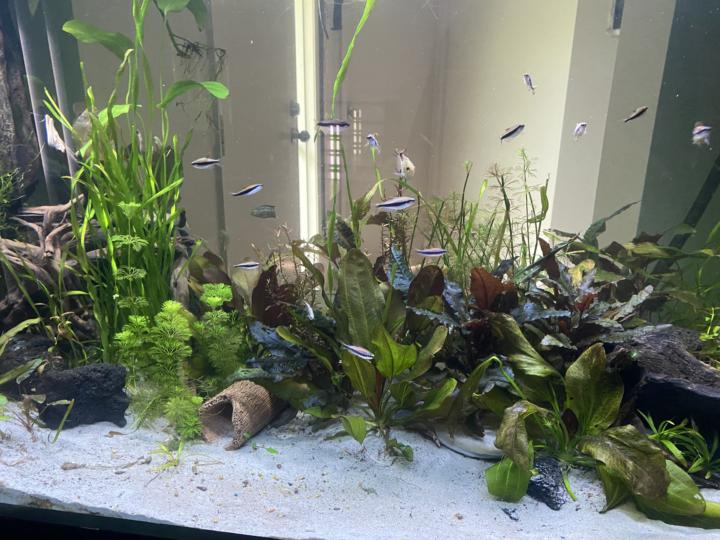 Intro and get to know each other 