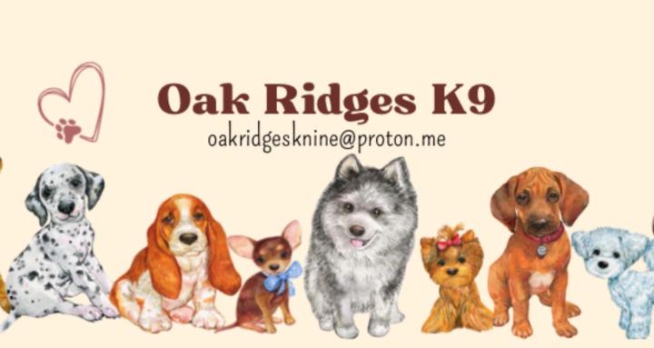 Oak Ridges K9