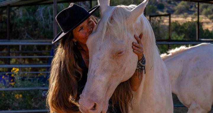 A Community of Paladins