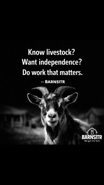 Farm sitting isn’t just a job, it’s responsibility, trust, and care