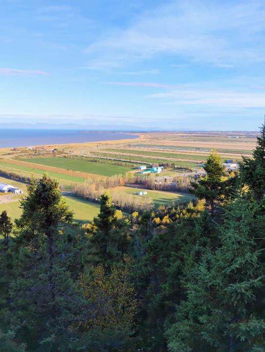 Brice Duval Leukoué tako