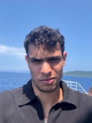 Mai Salah