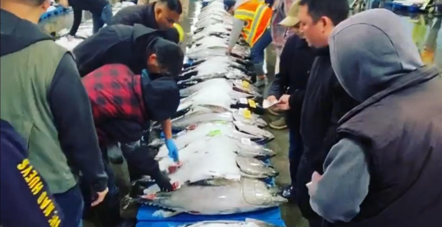 Caviarman experience, learn with me