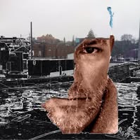 Russ Tighe