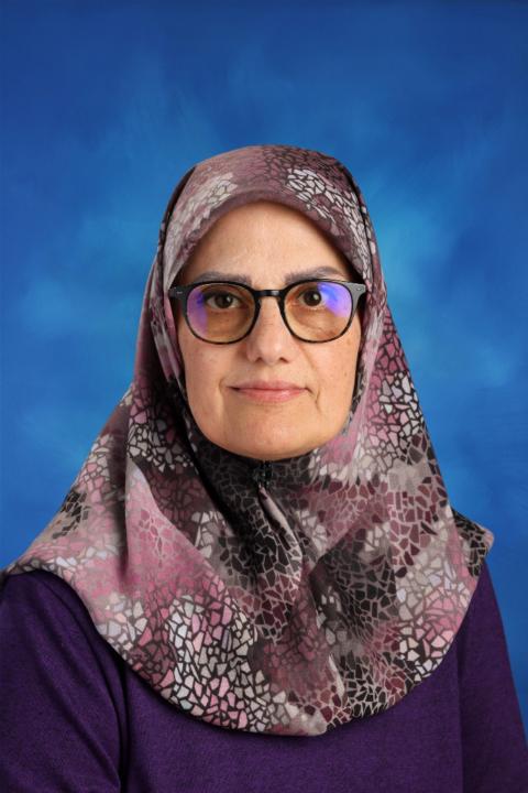 Simin Fareghi Naeini