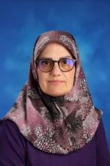 Simin Fareghi Naeini