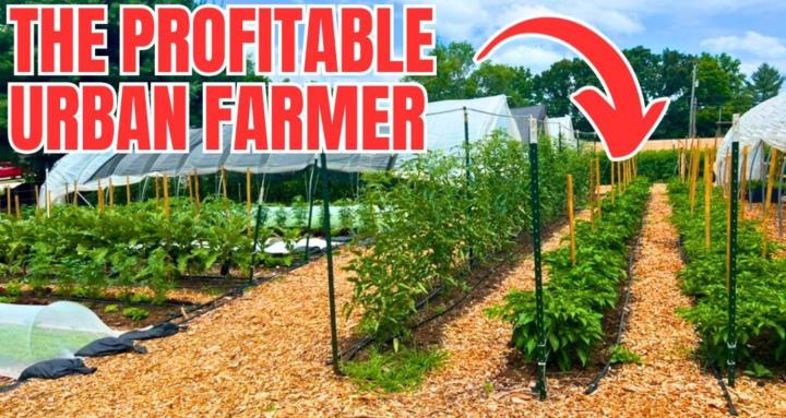 The Profitable Urban Farmer 