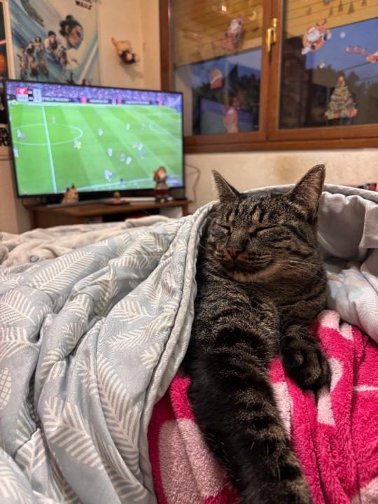 Hugo Carrión Marín