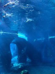 Nomin-Erdene Bayarsaikhan