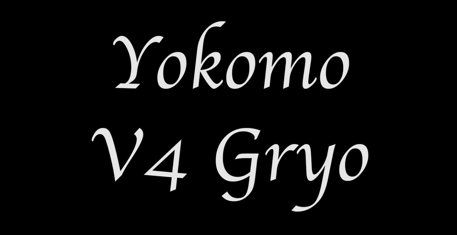 Yokomo V4 Gyro