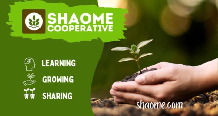 GROW Homeschool