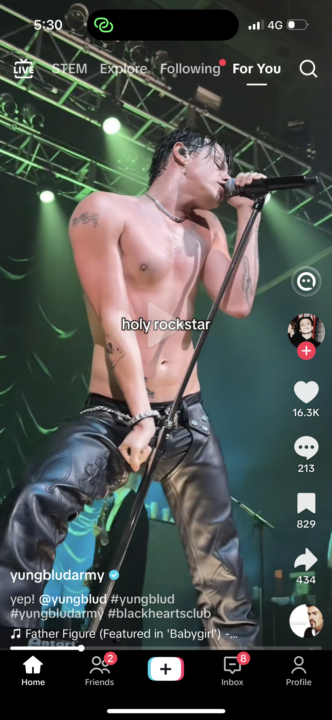 The idea of being attainable vs unattainable 