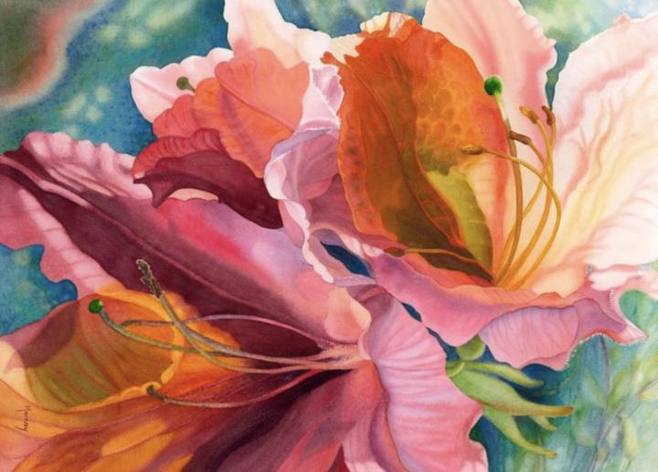 Cécilia Da costa ruivo