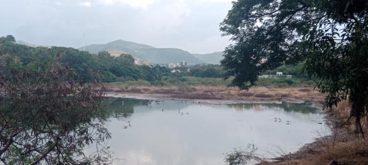 Raunak Tiwari