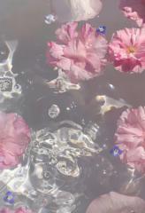 Novon Malcolm-Hutchinson