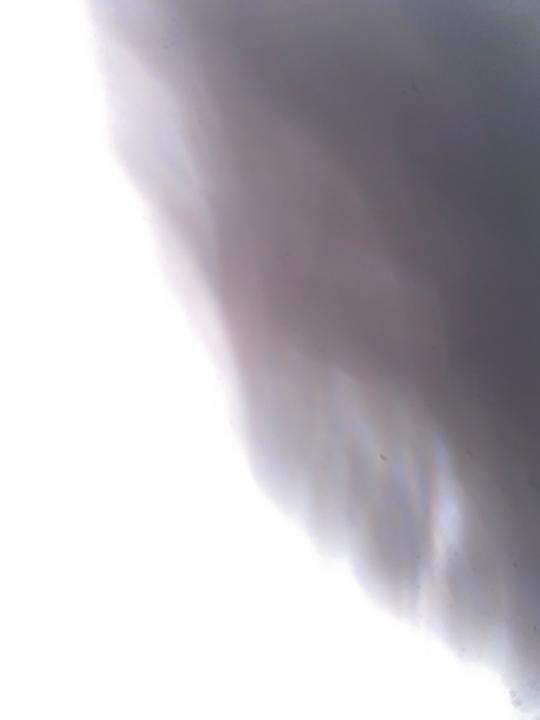 محمد عبد الرحيم الامين