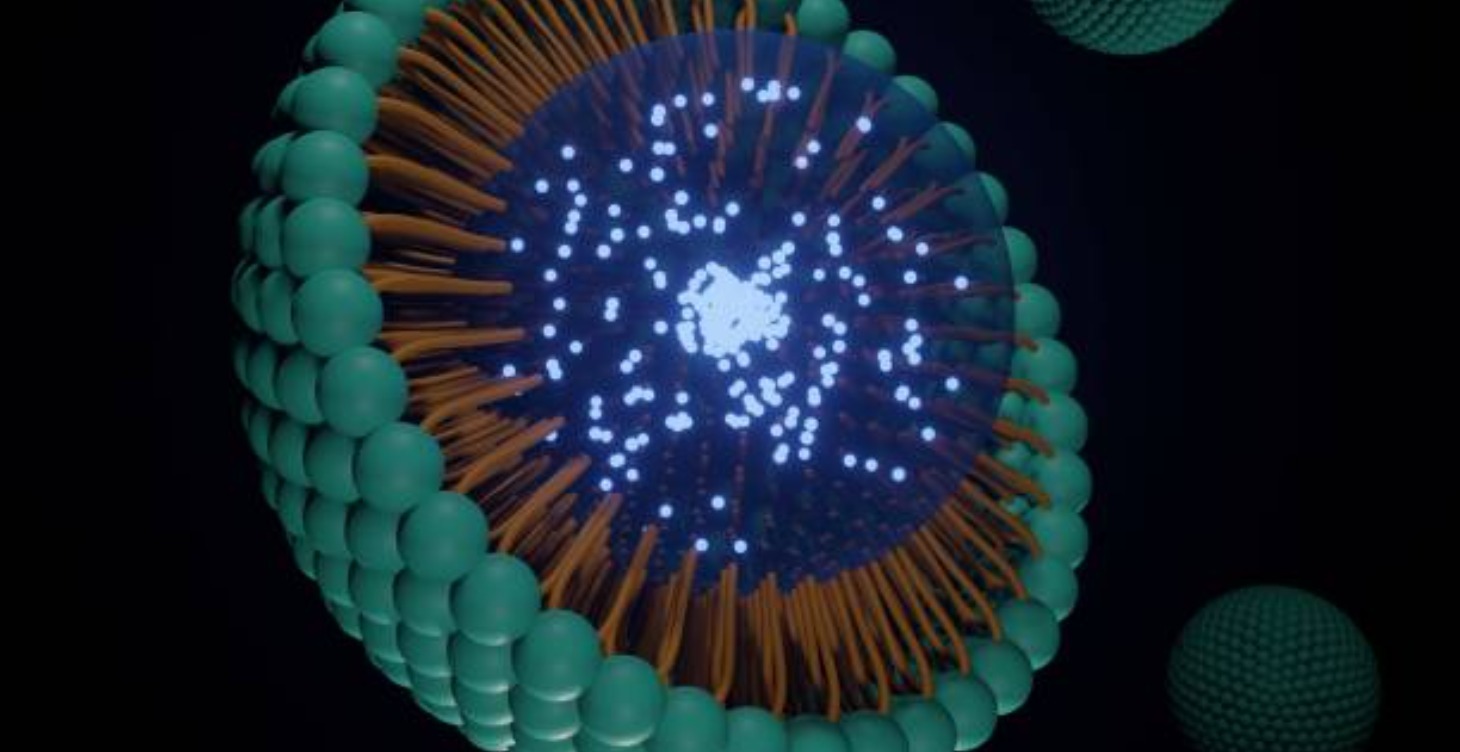 The Nanocarrier Report | Intelligence Briefings