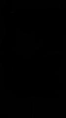 Pille Dark ﾠ