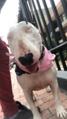 Jhon Edinson Varon Rojas