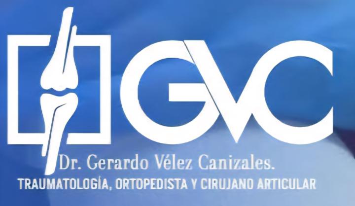 Gerardo Velez Canizales