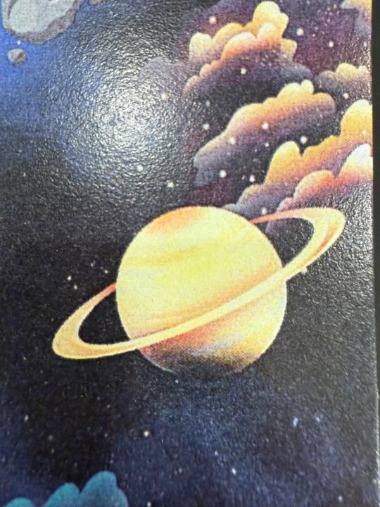 Maria del Carmen Yaly