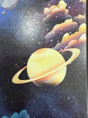 Maria del Carmen Yaly