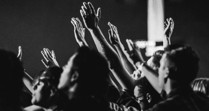 Lionhearted Disciples