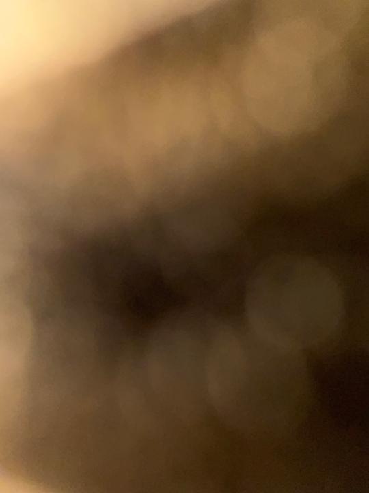 Noura Alshareeda