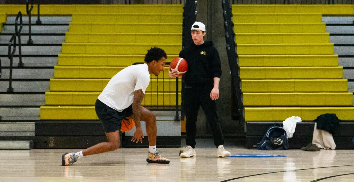 Ball Handling - Beginner