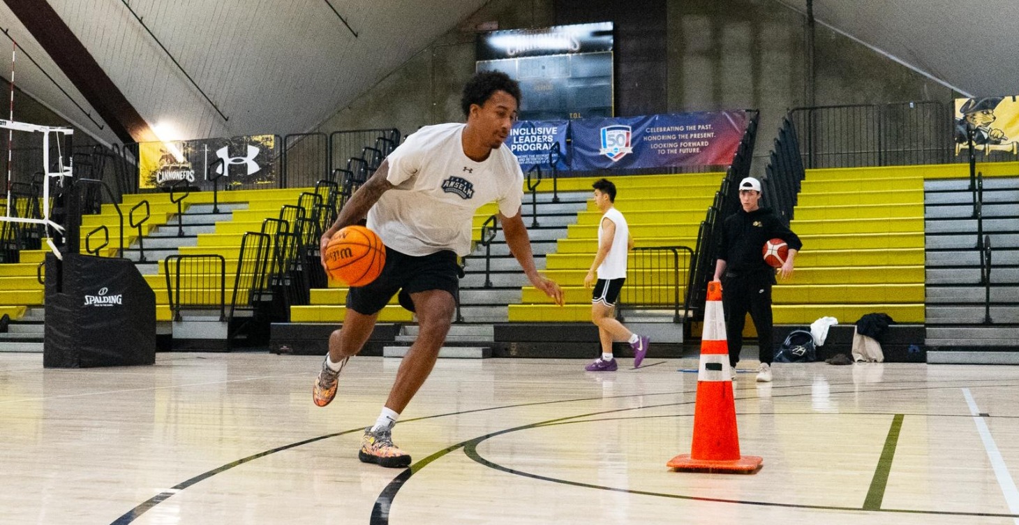 Ball Handling - Intermediate