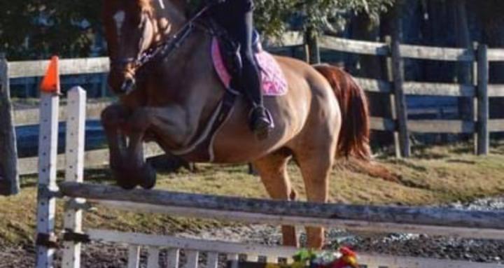 Beginner Rider Tips and Tricks