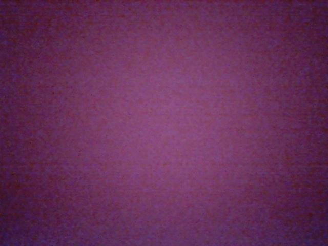 Pelayo Díaz Sánchez