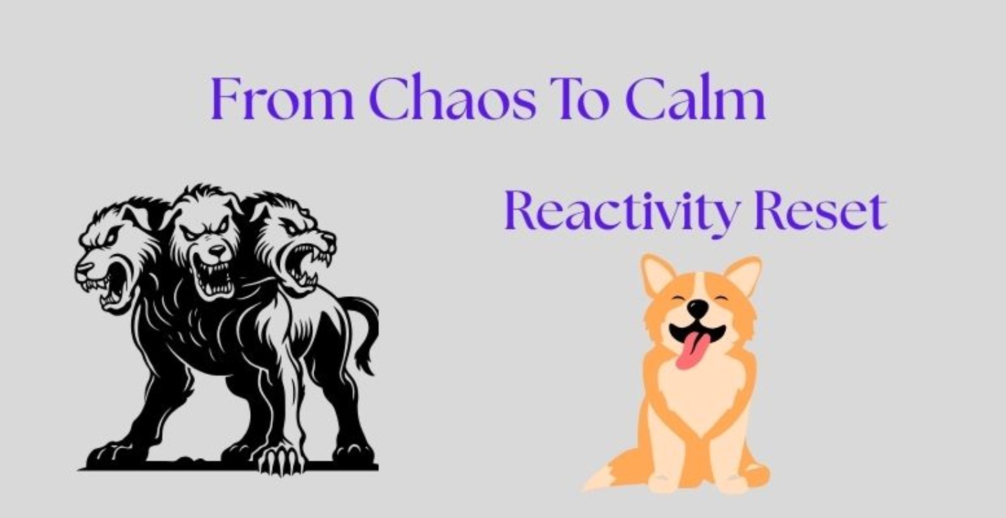 Reactivity Reset