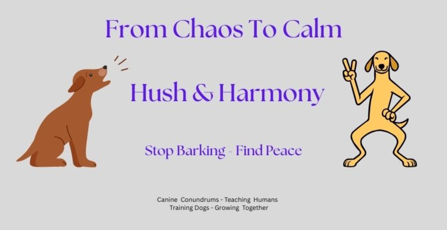 Hush & Harmony : The Quiet Dog Blueprint
