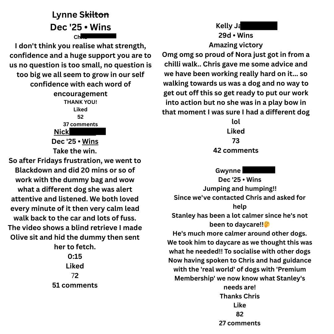 Canine Conundrums