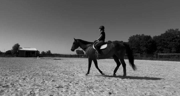 Baker Horsemanship