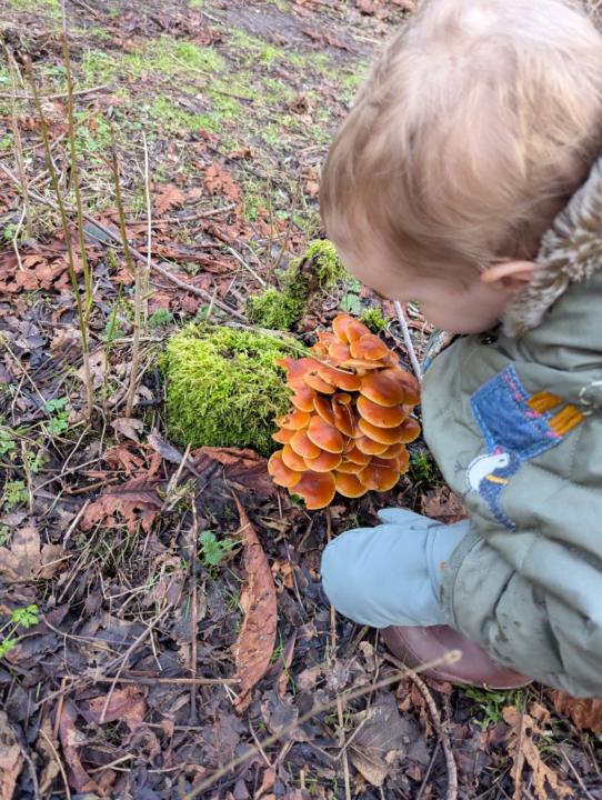 Hannah Huxley-Wright