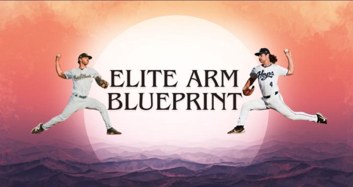 Elite Arm Blueprint