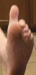 Connor Botek