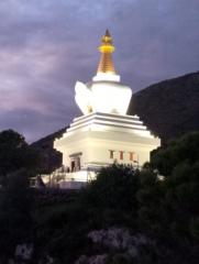 Victor Favero Juvencio