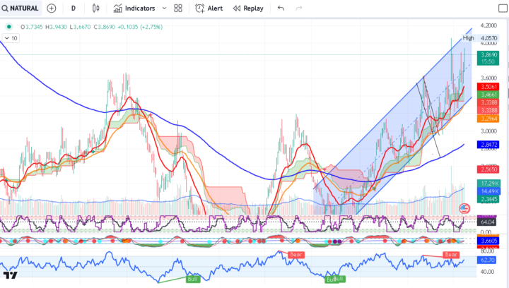 NATURALGAS, NG1! - Close to the top? 