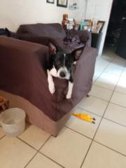 Diego Francisco Payan Piña