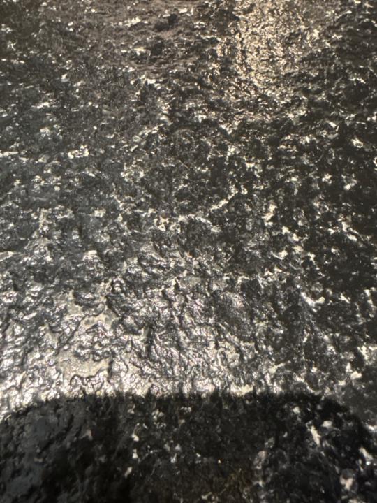 Ariunbolor Enkhtaivan