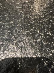 Ariunbolor Enkhtaivan