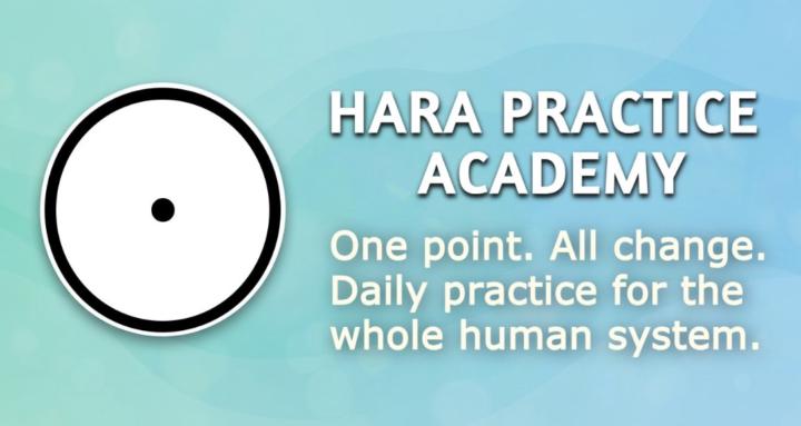 Hara Practice Academy