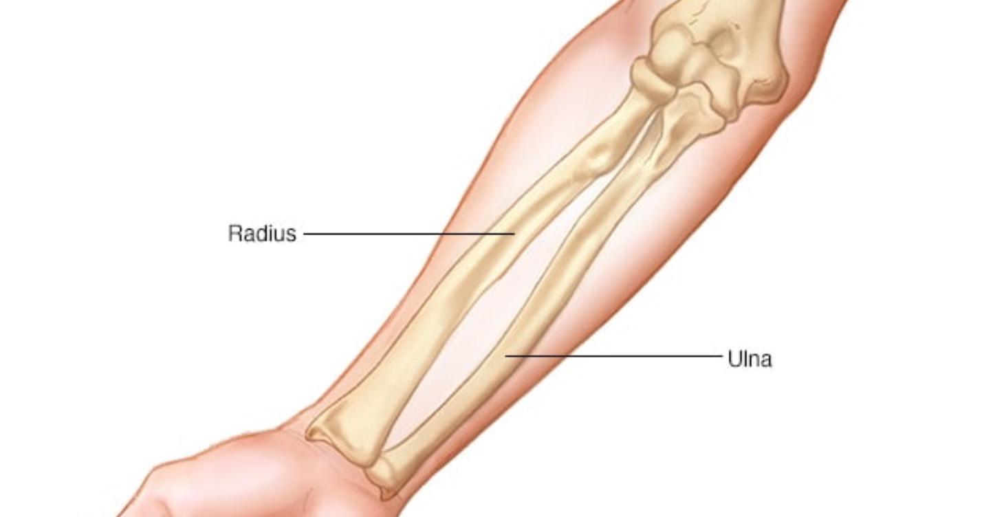 Self massage for the forearm