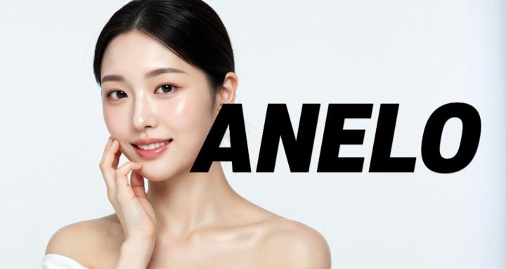 ANELO-AI모델 지식공유방