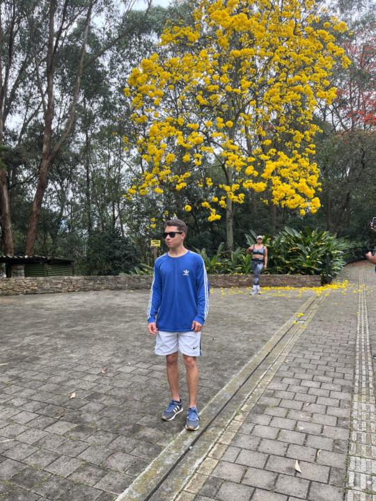 Felipe Gomez
