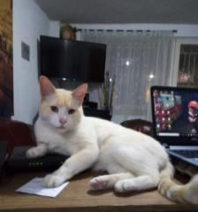 William Javier Velasco