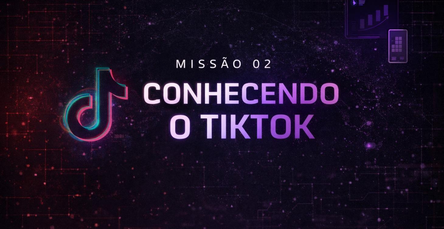 UM PANORAMA DO TIKTOK